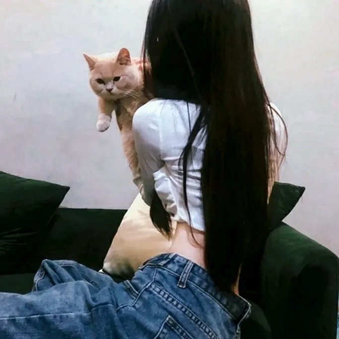 小刺猬与魔法石