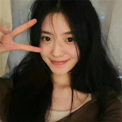 大象之梦